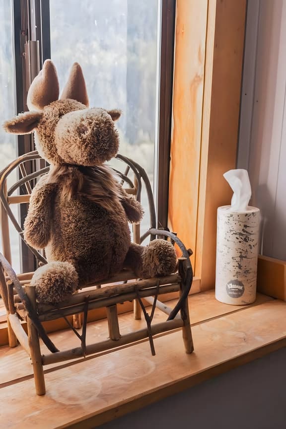 Moose Room | Rustic Colorado Lodge Escape